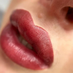 Ombre Lips
