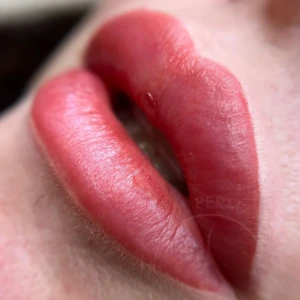 Ombre Lips